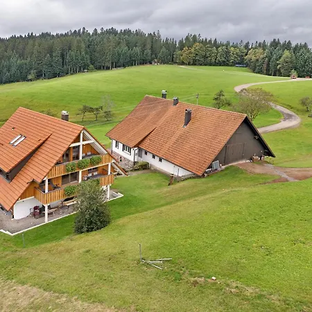 Apartment Wallemehof Wolfach