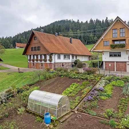 Wallemehof Apartman Wolfach