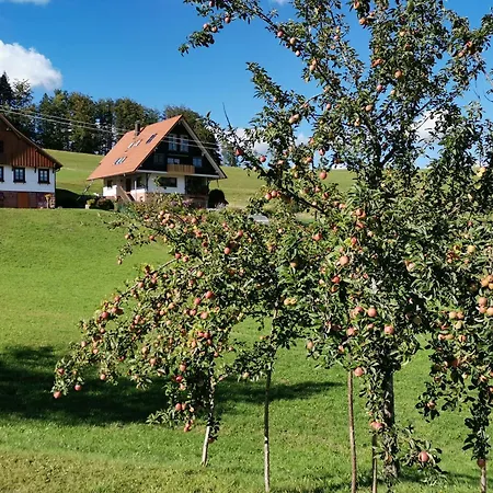 Apartman Wallemehof *